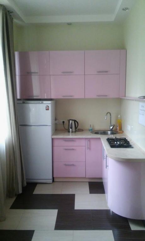 Apartment At Komsomolska 52А Ντνιπροπετρόφσκ Εξωτερικό φωτογραφία